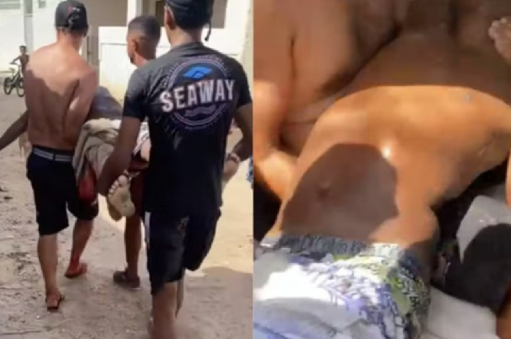 Tubarão-cabeça-chata de 3 metros foi responsável por ataque