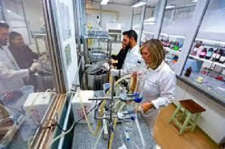 Unicamp cria gel que acelera cicatrização de pacientes com câncer