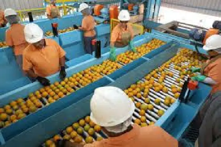 Veja que produtos brasileiros escapam do tarifaço de Trump