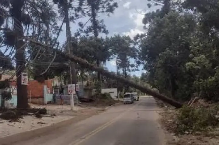 Ventania passa de 80 km/h e deixa mais de 120 mil imóveis sem luz