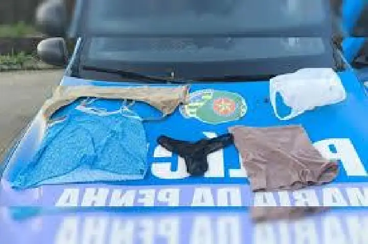 Vestindo calcinha e sutiã, suspeito tenta violentar vizinha