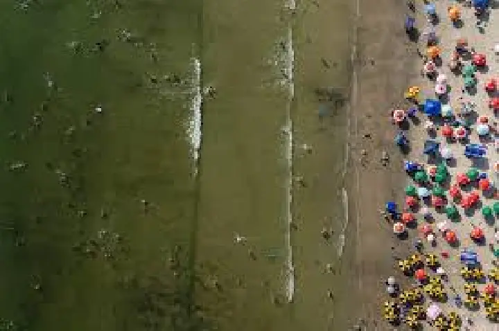 Viroses típicas de verão podem ser graves; saiba como se prevenir