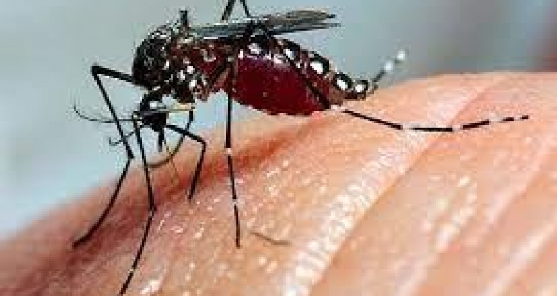 Bariri registra segunda morte do ano por dengue