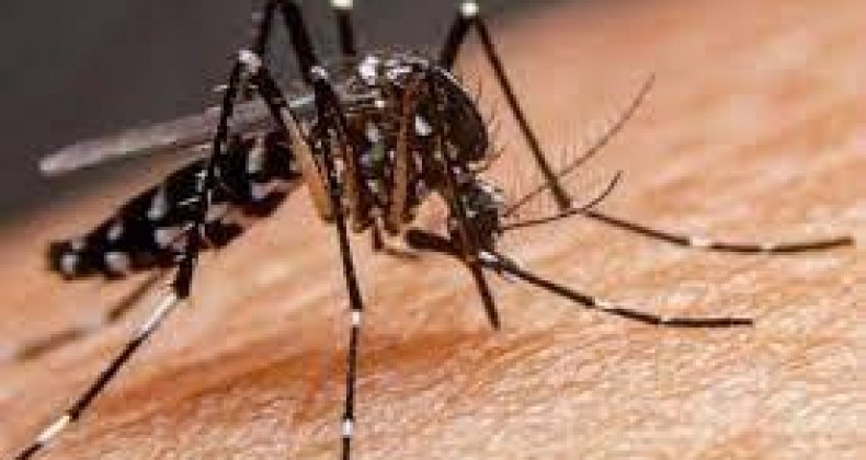 Pederneiras tem mais duas mortes por dengue