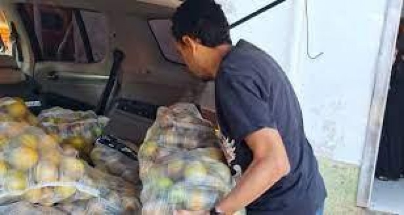 Polícia Civil recupera laranjas furtadas de propriedade em Botucatu