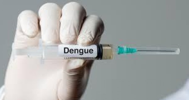 Dengue: sem vacina, Padilha sugere ‘medidas preventivas’ contra falta de leitos