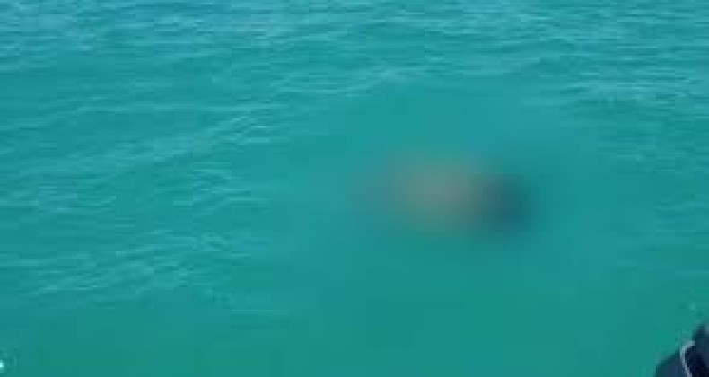 Banhistas encontraram corpos de crianças que estavam desaparecidas na praia