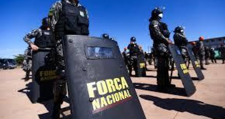 Força Nacional continuará apoiando Ibama na Amazônia Legal