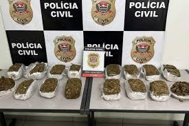 Bauru: Polícia Civil apreende 15 tijolos de maconha em um freezer