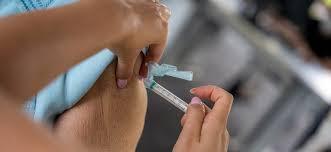 Ministério da Saúde quer incluir vacina da chikungunya no SUS