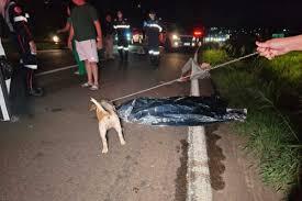 Morador de rua morre atropelado e cachorro fica ao lado do corpo