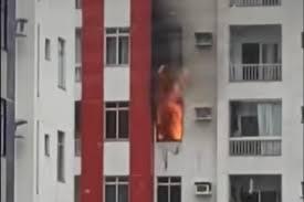 Moradores e bombeiros salvam cães de incêndio; VÍDEO