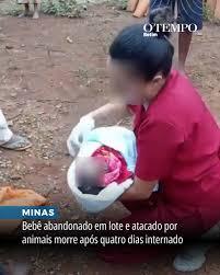 Morre bebê atacado por animais no interior de Minas Gerais