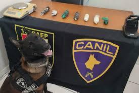 Cão do Baep alerta e duas mulheres são presas com haxixe no corpo