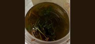 Ao tentar aliviar dor, avó intoxica bebê com álcool e maconha