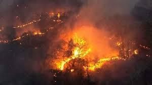 Câmara aprova punição mais dura por incêndios florestais