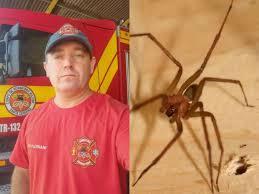 Considerado herói, bombeiro morre após picada de aranha