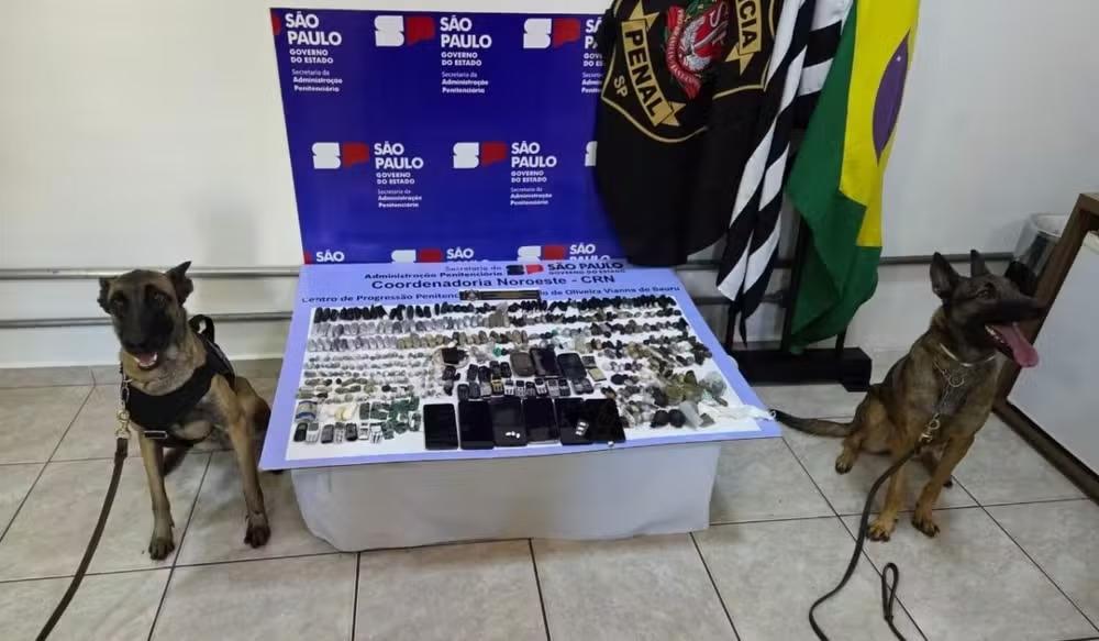 Pirajuí tem duas cadelas famosas e muito eficientes no combate ao tráfico de drogas