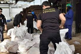 Bauru: PF incinera mais de 1 tonelada de maconha e outras drogas