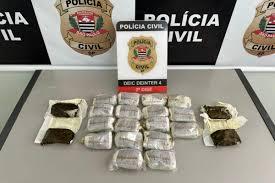 Bauru: Polícia Civil flagra R$ 31 mil em haxixe dry em condomínio