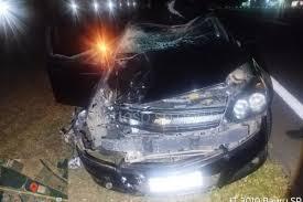 Caminhão com álcool e carro atropelam cavalo na SP-225, em Bauru