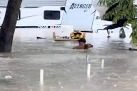 Como cães ajudaram moradores a escapar das enchentes no Texas