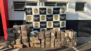 Polícia apreende quase 900 kg de maconha em sítio de Atibaia