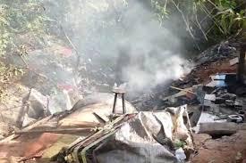 Vigilantes acham corpos carbonizados em parque de São Paulo