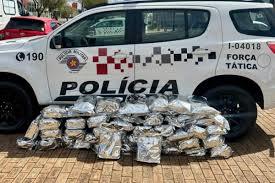 Força Tática de Bauru apreende droga avaliada em R$ 2 milhões