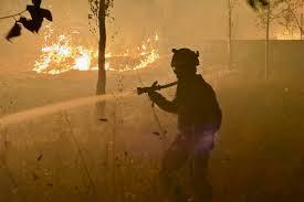 Incêndio florestal interrompe caminho de Santiago de Compostela