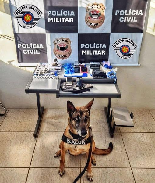 Operação conjunta da Polícia Militar e Polícia Civil resulta na prisão de quatro pessoas em Reginópolis