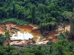 Ouro rende mais que coca, mas traficantes 'evitam' garimpeiros