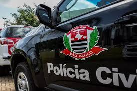 Polícia apura maus-tratos contra cavalo que teve patas cortadas
