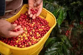 Tarifa de 50% dos EUA sobre produtos do Brasil entra em vigor