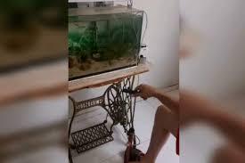 Bauruense improvisa bomba de bicicleta para salvar peixes; VÍDEO