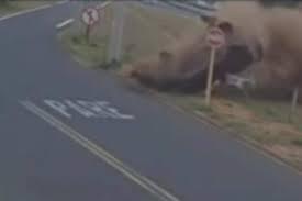 Carro com 5 jovens e bebê capota e deixa feridos em Bauru; VÍDEO