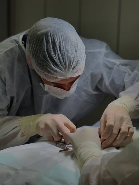 Centro de Controle de Zoonoses de Pirajuí realiza mais de 600 procedimentos em 2025