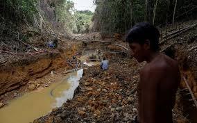 Congresso avança com anistia a desmatamento em terra indígena