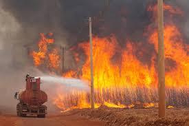 Governo obriga produtores rurais a atuar no combate a incêndios