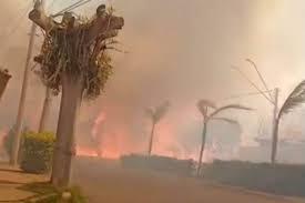 Grande incêndio em mata leva à suspensão de aulas em escolas