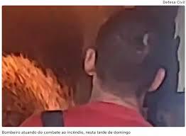 Incêndio destrói casa e mata vários animais em Bauru