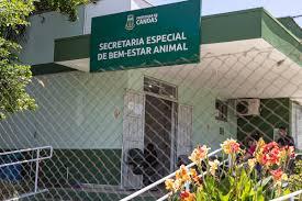 Polícia investiga suposta 'eutanásia em massa' de cães