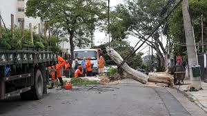 Rajadas de até 60 km/h derrubam árvores e atingem fiação em Bauru
