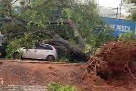 Vendaval derruba semáforos, árvores e destelha em Bauru; VÍDEO