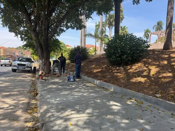 Calçada da Igreja Matriz é revitalizada e garante mais segurança aos pedestres