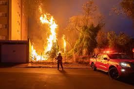 Em dia de calor recorde, fogo em 'Floresta' ameaça casas em Bauru