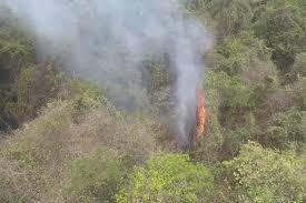 Incêndio florestal volta e mobiliza helicóptero da PM em Bauru