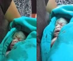 Já no velório, caixão é aberto e bebê é descoberto vivo; VÍDEO