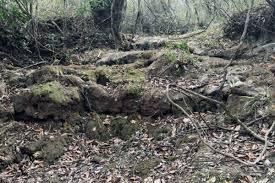 Nascente do Batalha seca, em cena desoladora filmada por vereador