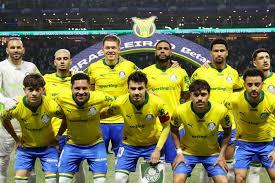 Palmeiras tem 68,3% de chance de título, e Cruzeiro despenca